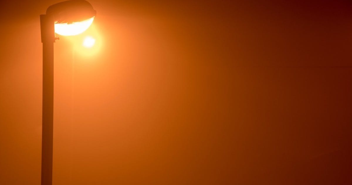 光害吞噬夜空:人造光源與照明污染如何威脅夜行性生物存續性? - TNL The News Lens 關鍵評論網