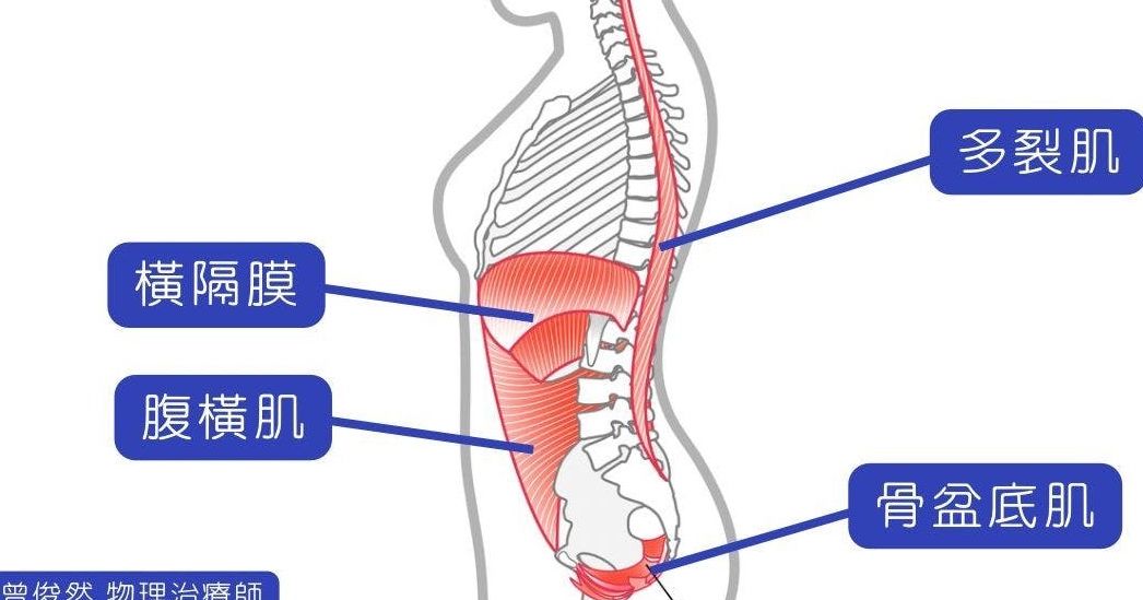仰臥起坐練不到核心?關於核心肌群,你所不知道的真相 - 健身運動 - 健康生活 | 運動視界 Sports Vision