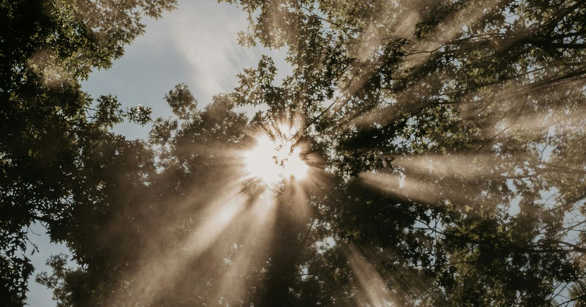 讀《萬有自然力》：科學實證下的溫柔療癒，牛津教授的「自然處方箋」