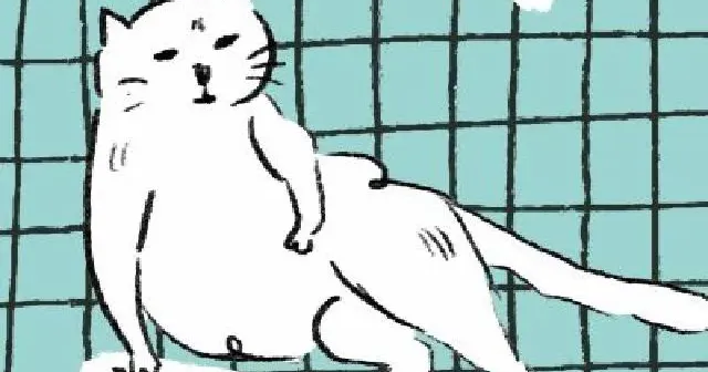 劉揚銘《尾道散漫日記》：錯過祭典煙火的瞬間，但我看見人們臉上綻放的笑容