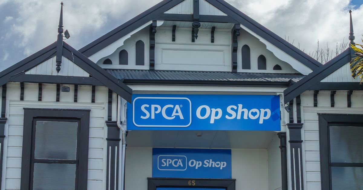 開雙B的白領和時髦的大學生，都在Op Shop裡翻二手衣：紐西蘭的「體面」定義不一樣