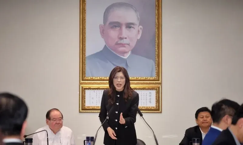 鄭習會480萬花費申請台灣民主基金會補助，總統府發言人郭雅慧質疑不符宗旨：國民黨有跟共產黨談民主嗎？