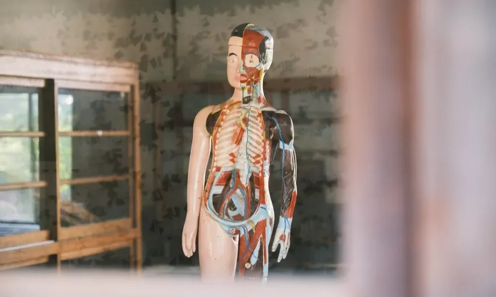 讀《可替換的你：身體零件大窺祕》：我們究竟是在修復自己，還是在慢慢把自己換掉？