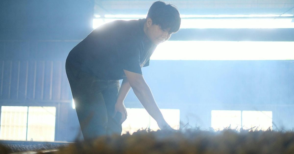 跨海女神農？柴燒龍眼＋跨國直播，打開海外市場，陳昀鎂：謝謝龍眼帶我環遊世界