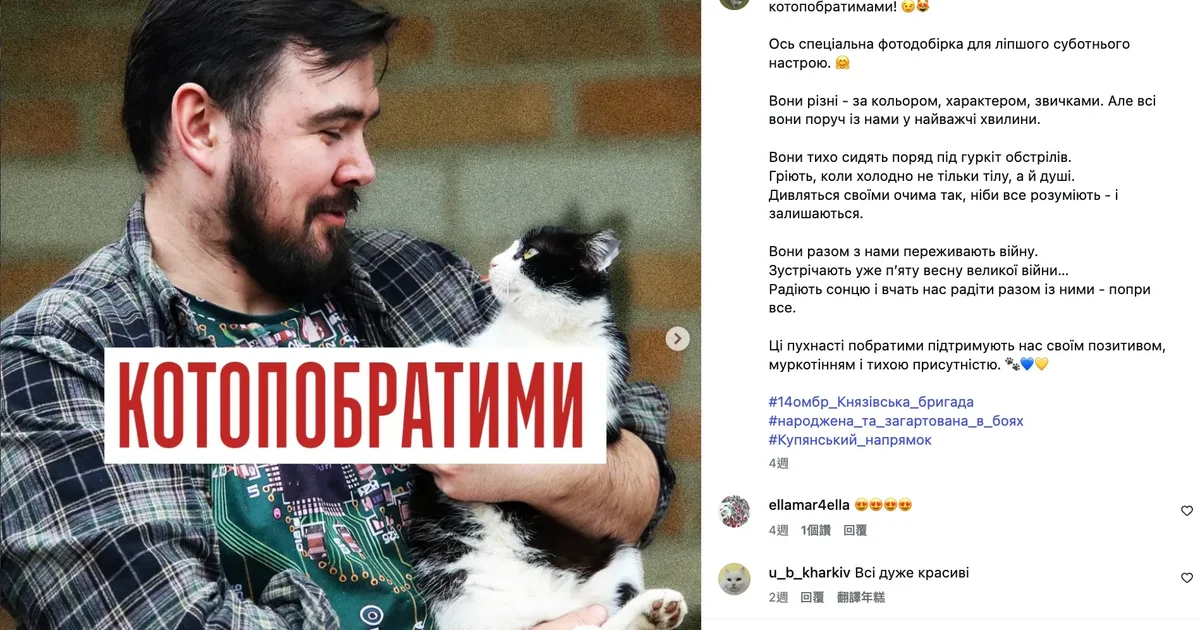 從無人機撤離「戰地貓」到搶救蜜蜂，烏克蘭人戰火中守護動物