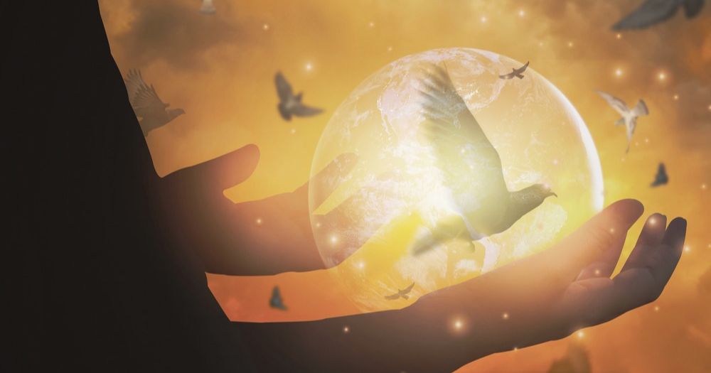 讀《好想和離世的你再說說話》：彼岸那端的祢過得好嗎？來自京都靈界傳話人的真實轉達