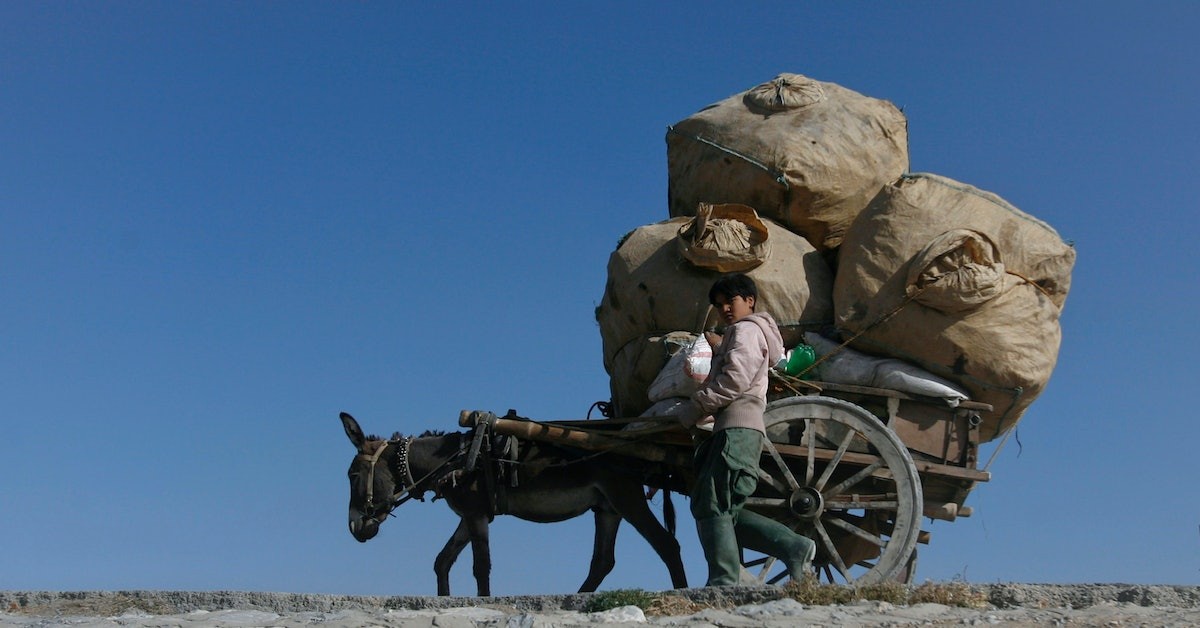 What-Does-China-Want-With-Pakistanโs-Donkeys?